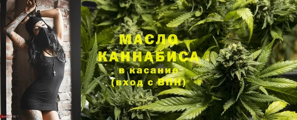 сатива Абинск