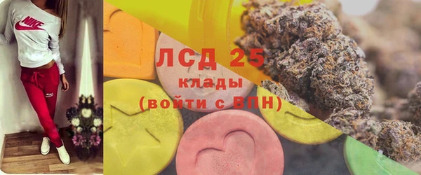 сатива Абинск